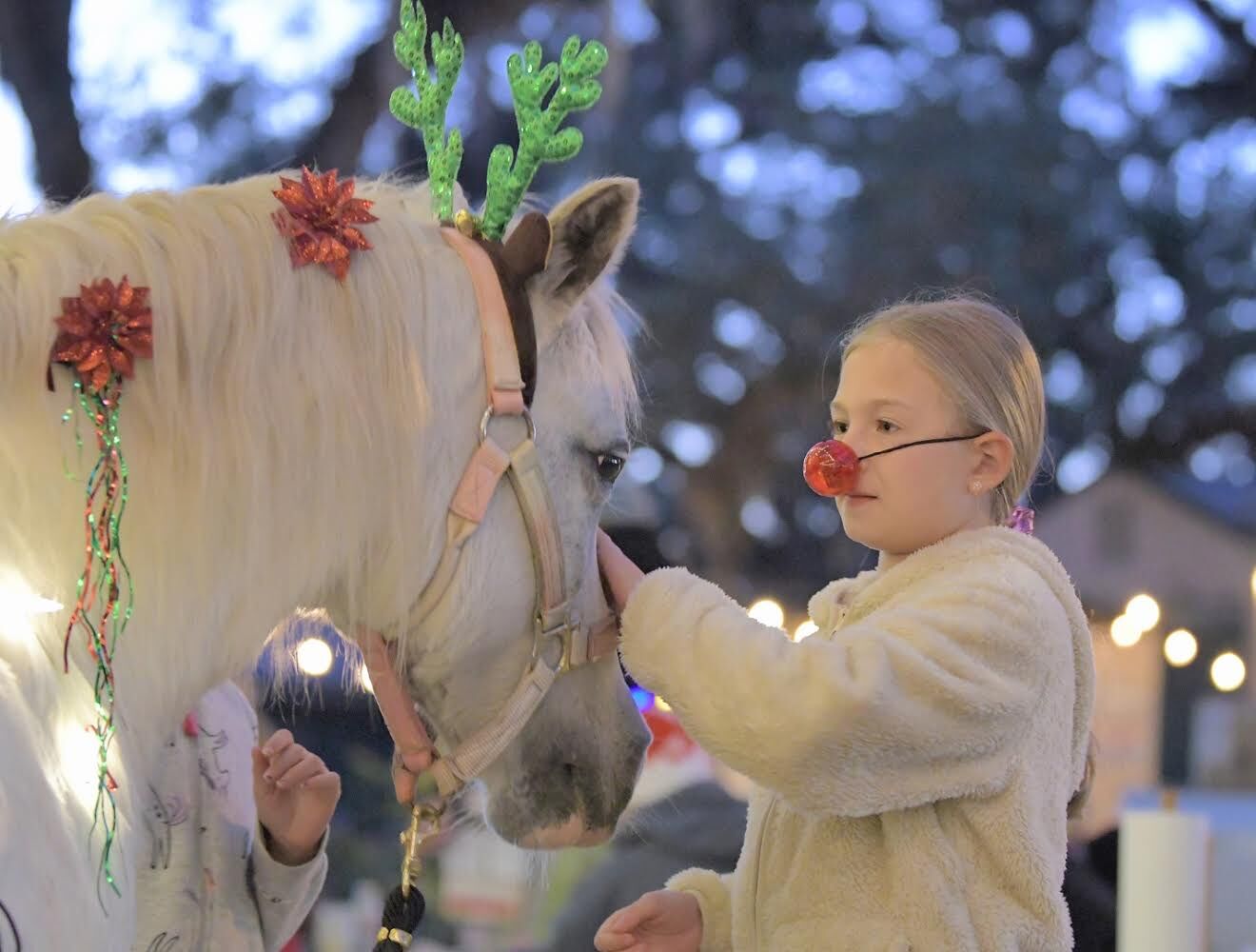 Twinkle The Christmas Pony